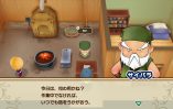 Story of Seasons Friends of Mineral Town_Scrn310719- (13)
