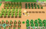 Story of Seasons Friends of Mineral Town_Scrn310719- (14)