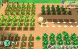 Story of Seasons Friends of Mineral Town_Scrn310719- (15)