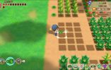 Story of Seasons Friends of Mineral Town_Scrn310719- (16)