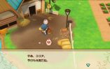 Story of Seasons Friends of Mineral Town_Scrn310719- (18)