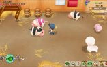 Story of Seasons Friends of Mineral Town_Scrn310719- (19)