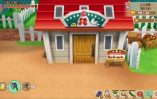 Story of Seasons Friends of Mineral Town_Scrn310719- (24)