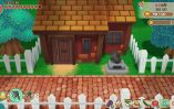 Story of Seasons Friends of Mineral Town_Scrn310719- (25)