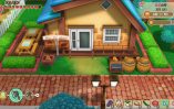 Story of Seasons Friends of Mineral Town_Scrn310719- (26)