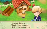 Story of Seasons Friends of Mineral Town_Scrn310719- (8)