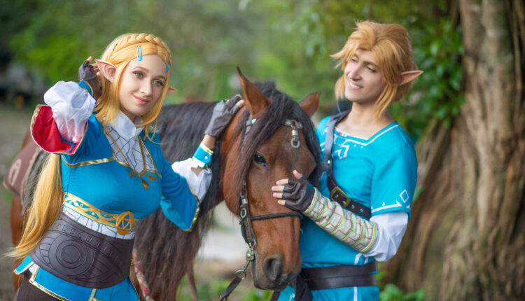 Link e Zelda Mary e Coelho no japão