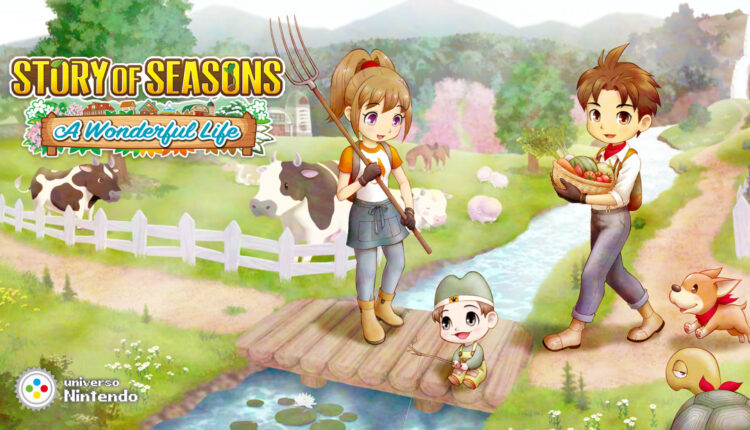 Boxart do jogo