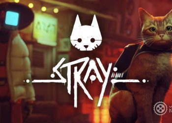STRAY