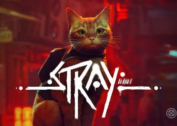STRAY
