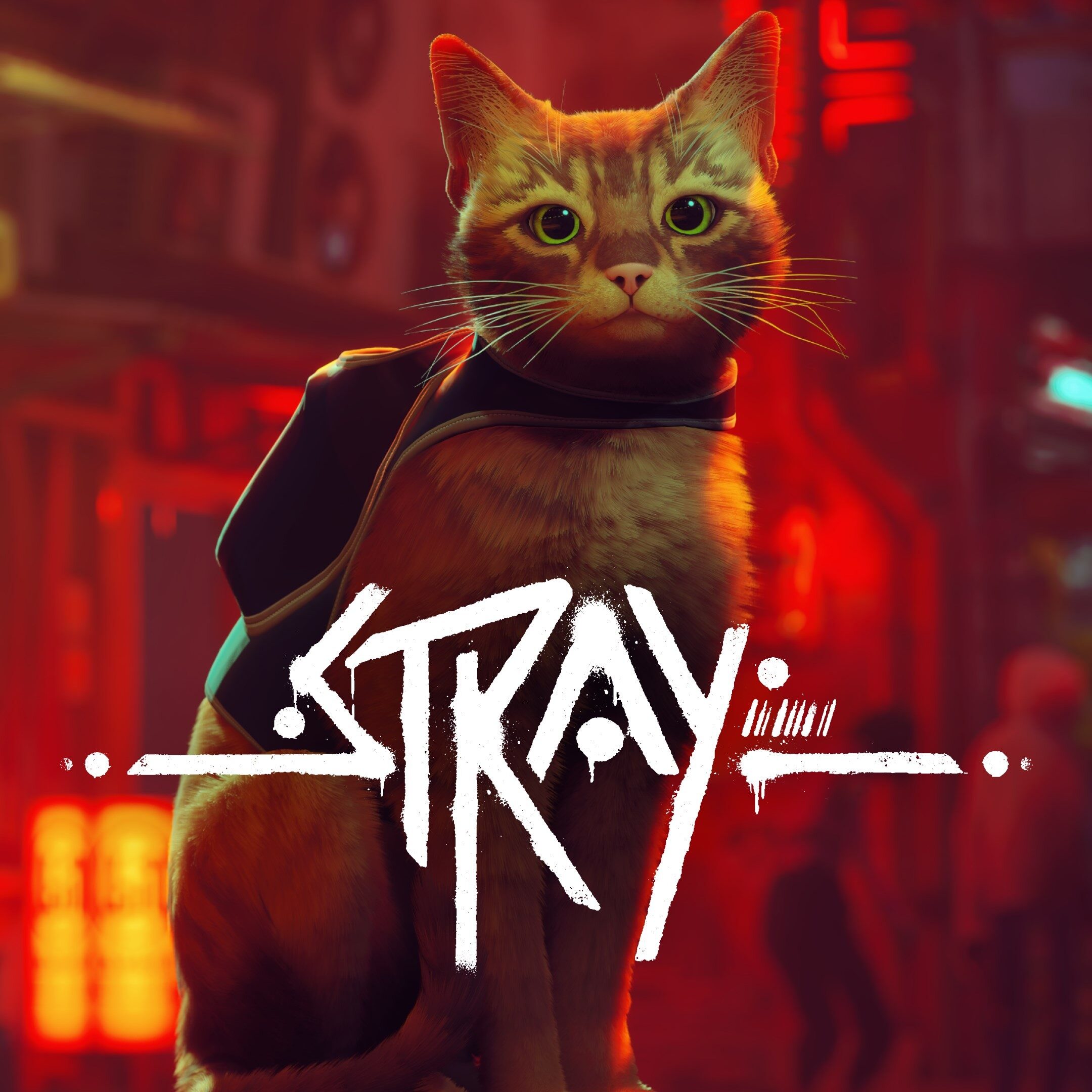 STRAY