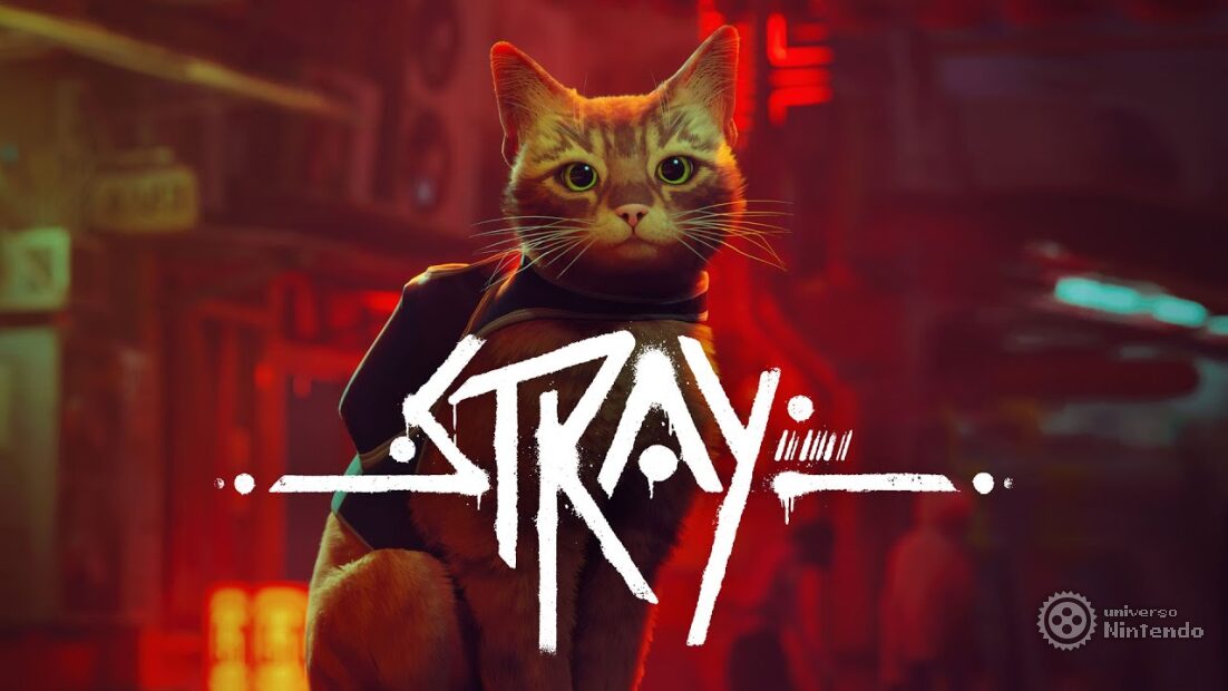 STRAY