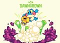 Dawngrown