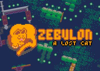 Zebulon: A Lost Cat