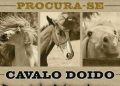Nintendo divulga lista com recomendações de jogos com cavalos para o Switch