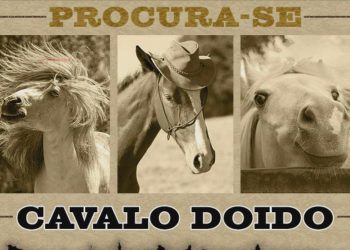Nintendo divulga lista com recomendações de jogos com cavalos para o Switch