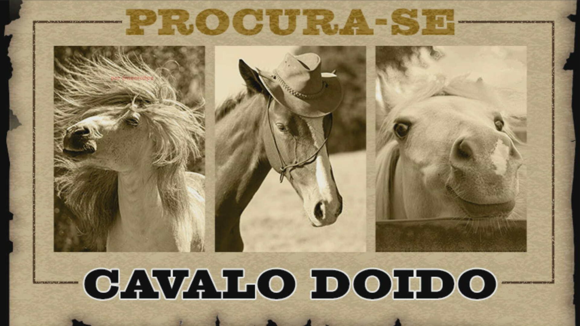 Imagem destacada do post