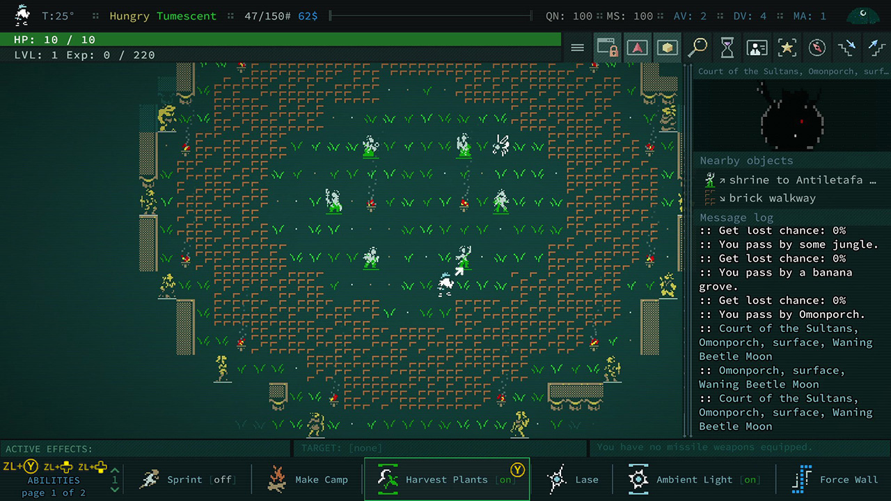 Caves of Qud