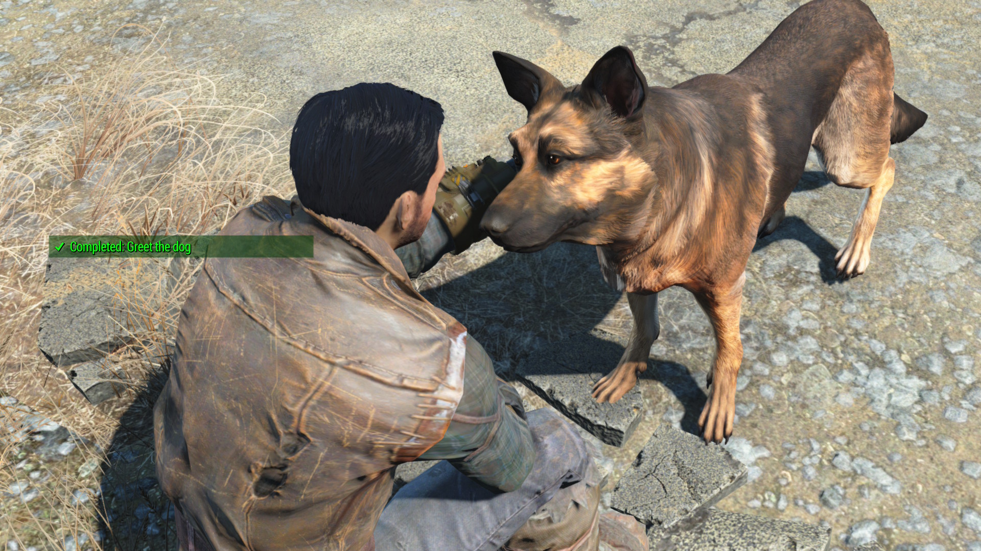 Cena do protagonista acariciando o cachorro