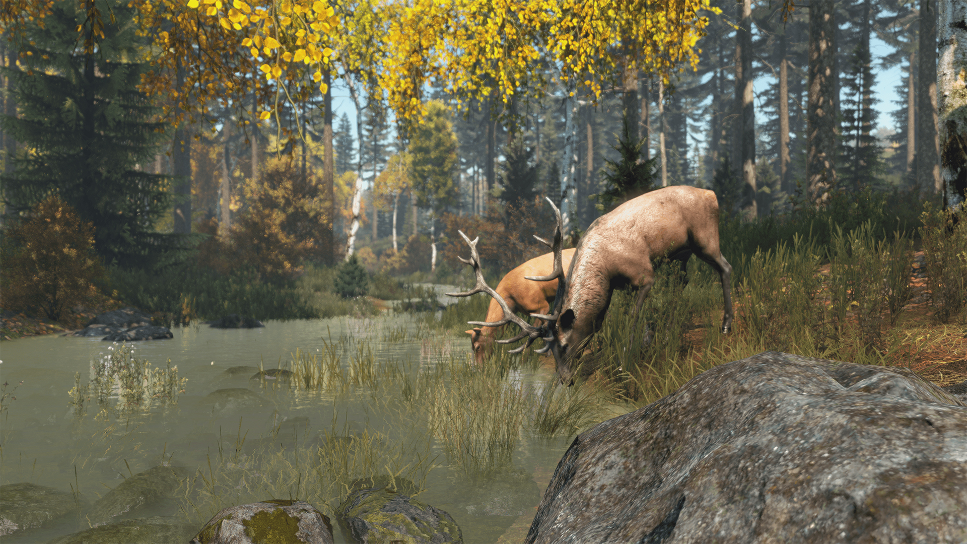 DayZ: Cool Edition