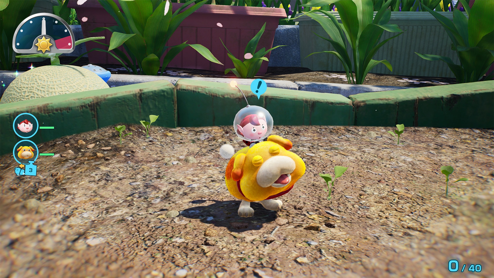 Pikmin 4 – Nintendo Switch 2 Edition + Academia Dandori