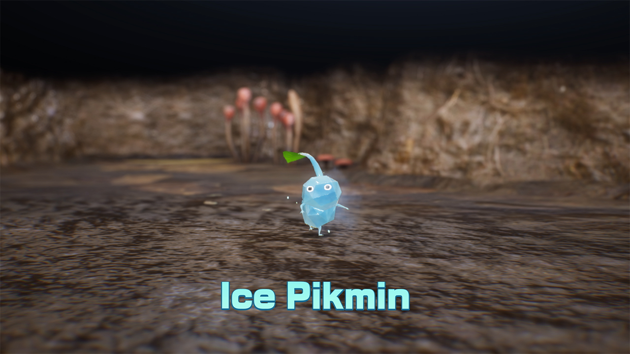 Pikmin 4 – Nintendo Switch 2 Edition + Academia Dandori