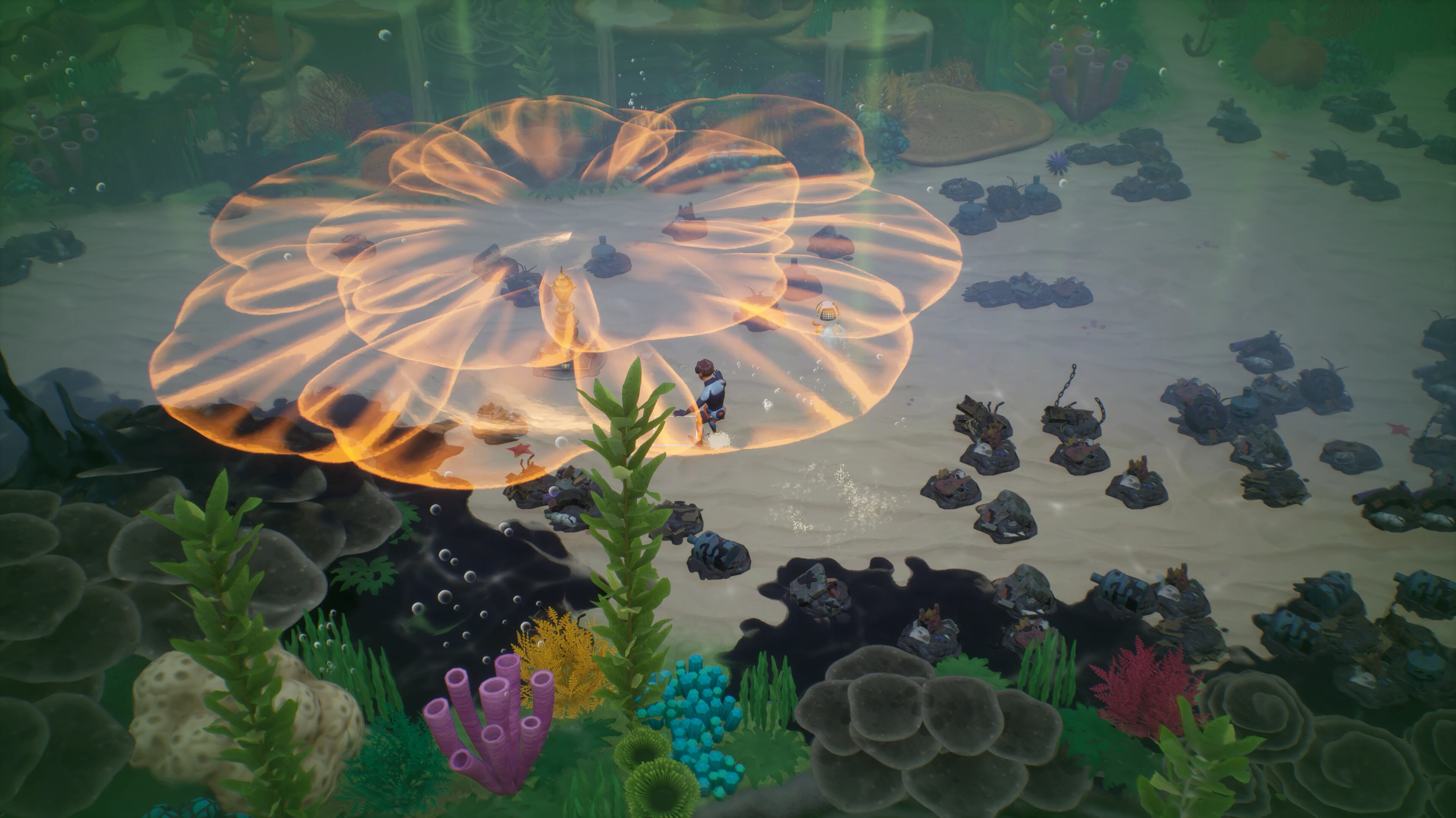 Coral Island